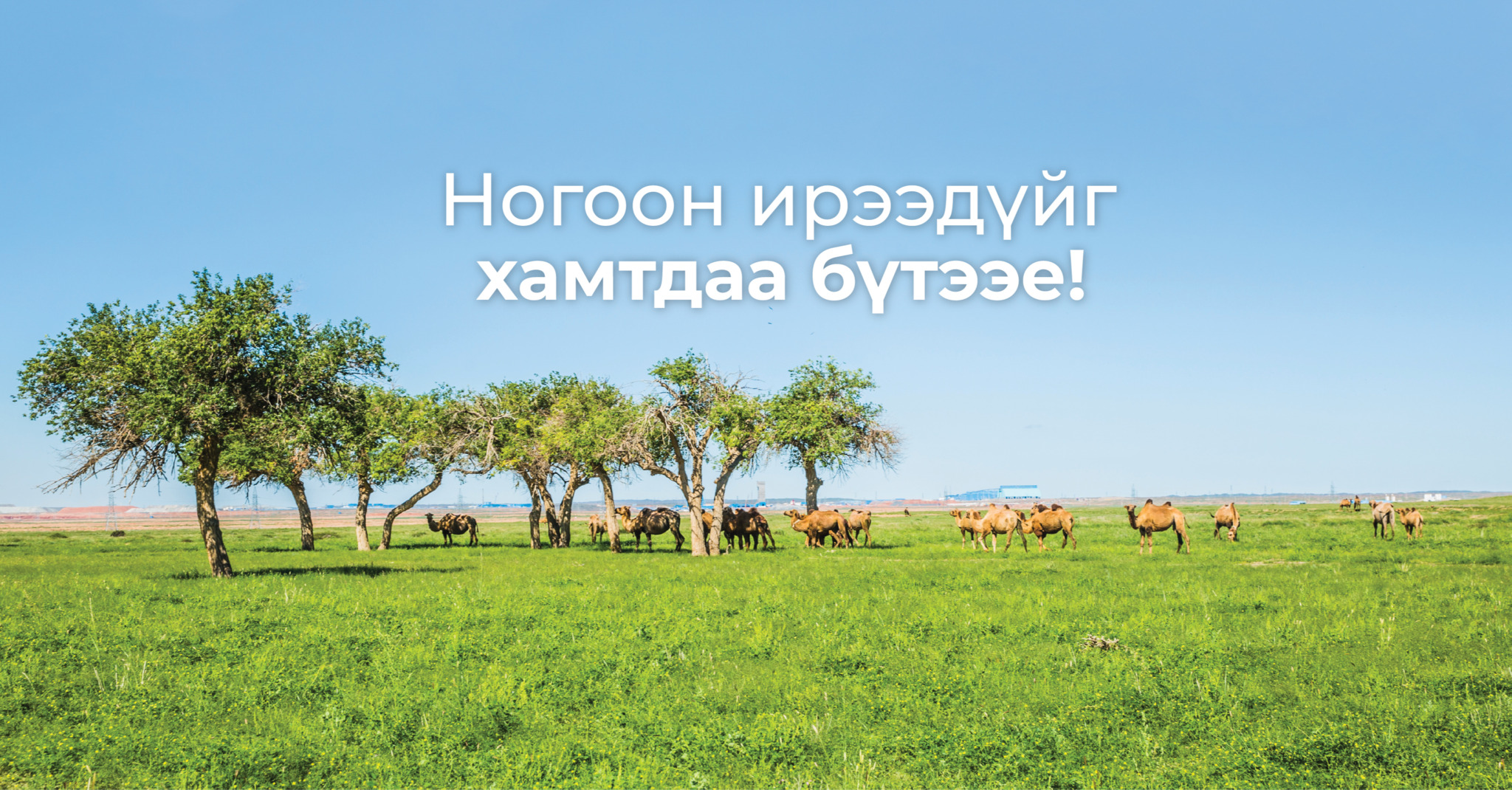 COP17 ба Оюу толгойн тогтоож буй сайн жишиг